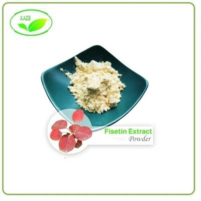Fisetin Powder